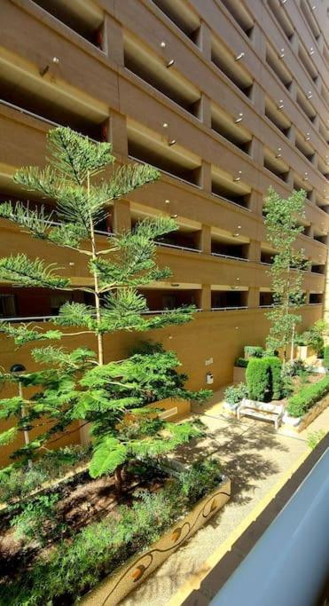 Apartamento Oropesa Del Mar- Marina D'Or- Magic World Vt30371Cs מראה חיצוני תמונה